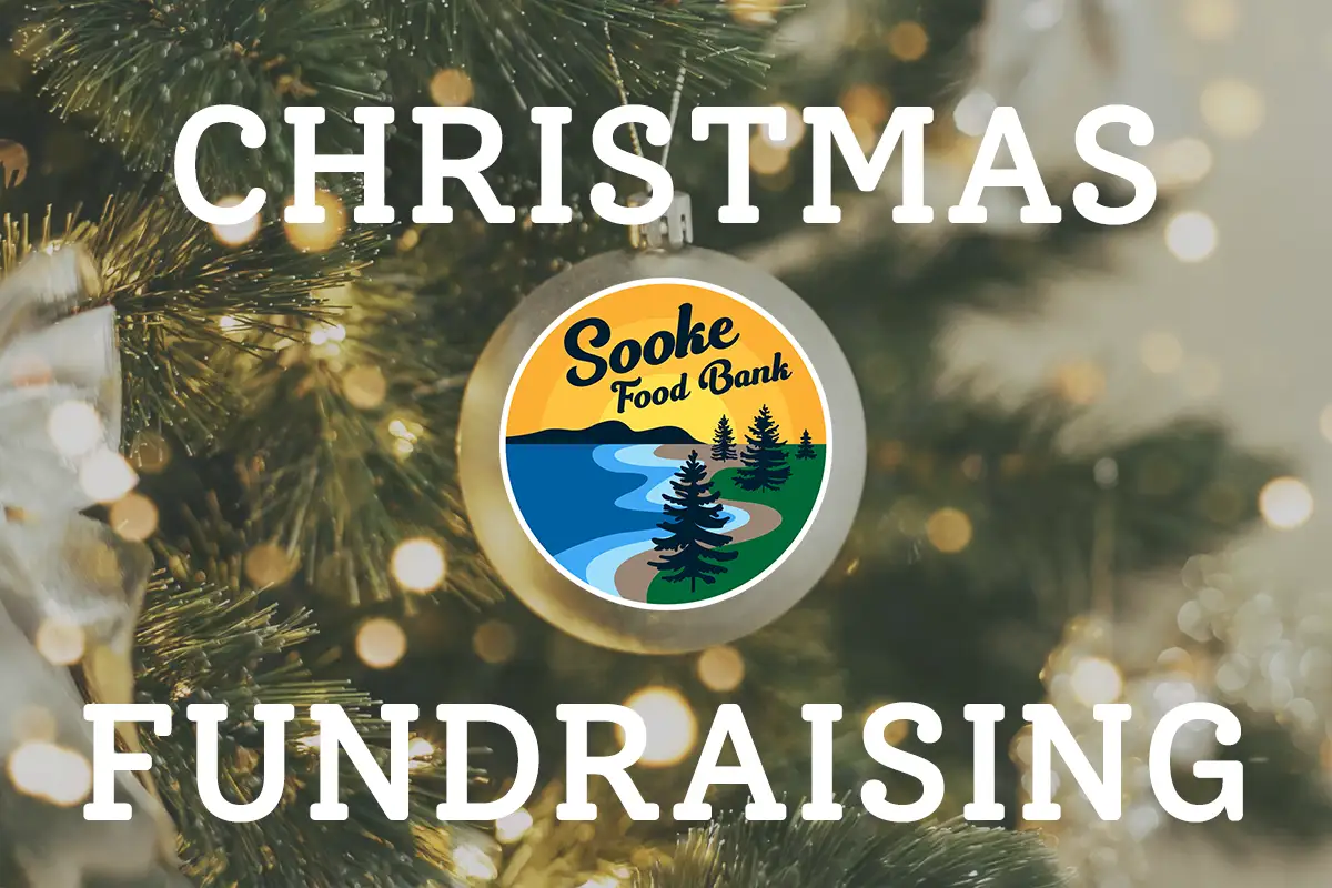 Christmas Fundraising